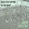 Blue Eyes Crying in the Rain - Single