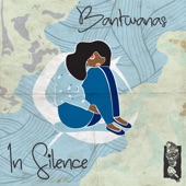 In Silence (Tim Engelhardt Remix) artwork