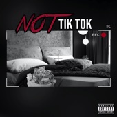 Not TikTok artwork