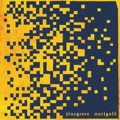 MARIGOLD cover art