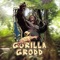 Gorilla Grodd 2019 - Iqbal lyrics