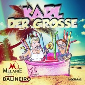 Karl der Grosse artwork