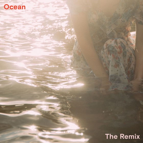 Cover artwork for Ocean (Ruhde Remix)