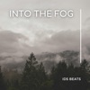 Into the Fog, 2021