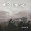 Into the Fog