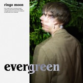 Evergreen artwork