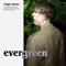 Evergreen artwork