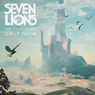 Only Now (feat. Tyler Graves) - Single by Seven Lions album reviews, ratings, credits