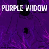 Purple Widow (999999999 Remix) artwork