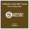 Collection of the Best Tracks from: Furkan Senol