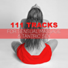111 Tracks for Sensual Massage & Tantric Sex: Passion and Sexuality, Making Love, Erotic Music, Tantra Relaxation, Shades of Love, Sexy Foreplay, Kamasutra, Intimacy - Tantric Music Masters