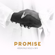 Promise - Adekunle Gold & Simi