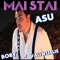 Mai Stai ( Feat. Vali Vijelie & Boby ) - Asu lyrics