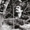 No Era Necesario - Edgardo Cardozo lyrics