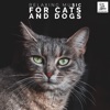 Music for Dog's Ears - Music For Dogs Cats Babies