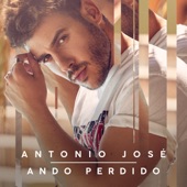 Ando Perdido artwork