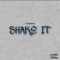 Shake It - Ty Shotz lyrics