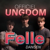 Felle Dansen artwork