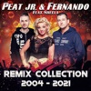 Remix Collection 2004-2021 (feat. Sheela)