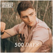 500 Days artwork