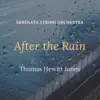 After the Rain - Single album lyrics, reviews, download