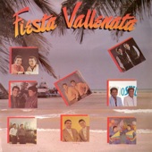 Fiesta Vallenata vol. 16 1990 artwork