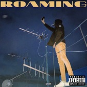 Roaming artwork