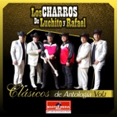 Nosotros Somos los Charros artwork