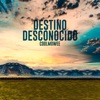 Destino Desconocido - Single