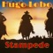 Stampede (feat. Martino Gesualdi, Mariano Goldenstein & Ramón Lobo) artwork