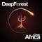 Bedi - Deep Forest lyrics