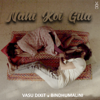 Vasu Dixit - Nahi Koi Gila (feat. Bindhumalini N.) - Single artwork