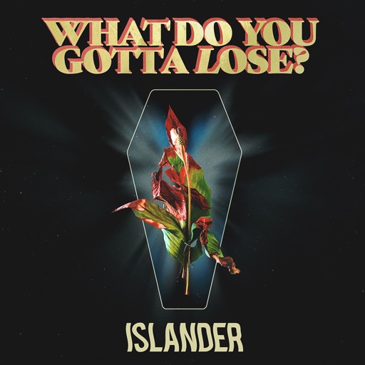 Art for What Do You Gotta Lose? by Islander