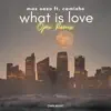 What Is Love (feat. Camishe) [Ojax Remix] - Single album lyrics, reviews, download