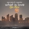 What Is Love (feat. Camishe) [Ojax Remix] - Single