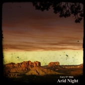 Arid Night artwork