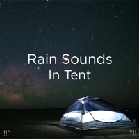 Rain Sounds & Rain for Deep Sleep - !!