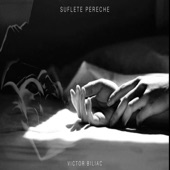 Suflete Pereche (Extended Version) artwork