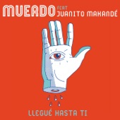 Llegué hasta ti (feat. Juanito Makandé) artwork