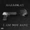 I Am Not Sane - Mallokay lyrics