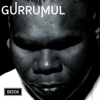 Gurrumul - Gurrumul artwork