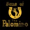 Authentic - Sons of the Palomino lyrics