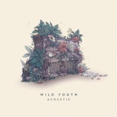 Wild Youth (Acoustic) - EP artwork