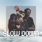 Slow Down (feat. O.E., J.U.L.I.O., Dani & JSF) - The Hip Hop Society lyrics