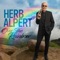 Always on My Mind - Herb Alpert lyrics