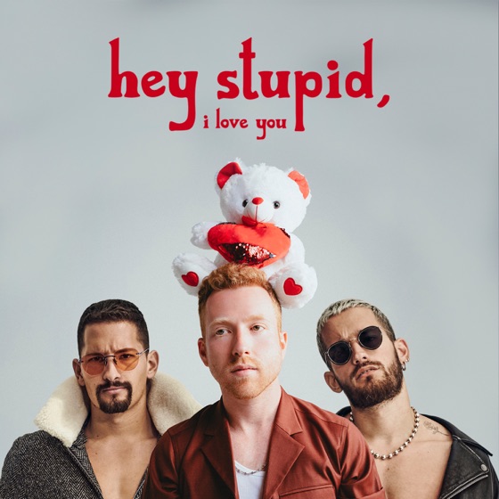 Cover artwork for Hey Stupid, I Love You