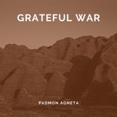 Grateful War artwork