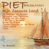 Allee salûû - Piet Brakman