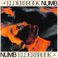 Elderbrook - Numb artwork