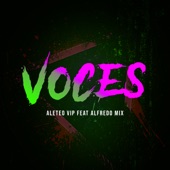 Voces (feat. Alfredo Mix) artwork